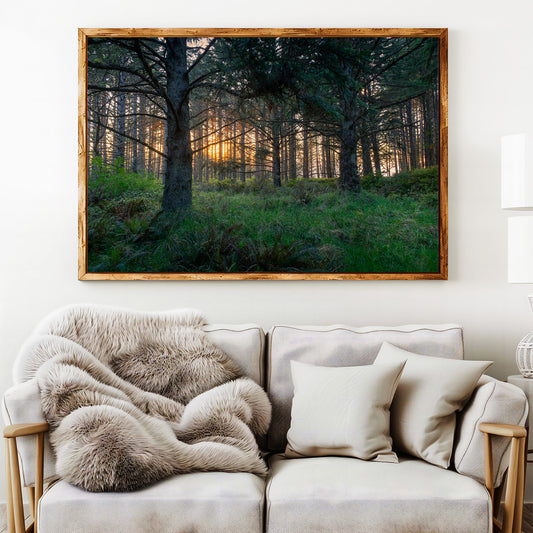 Coastal Forest Sunset