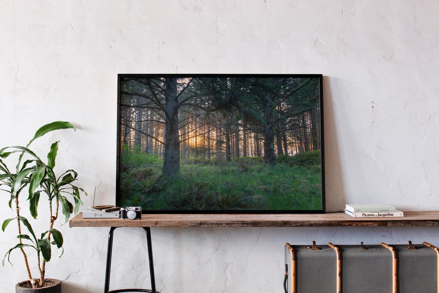 Coastal Forest Sunset