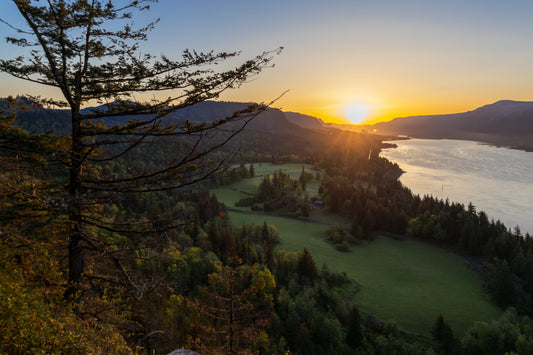 Columbia River Sunrise